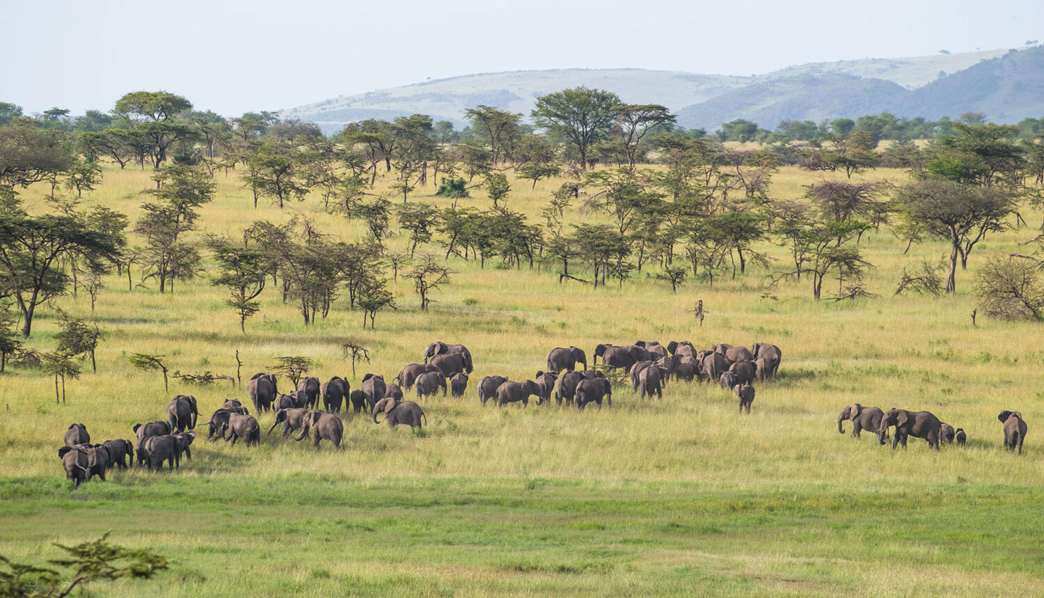 PlaceholderImage1302